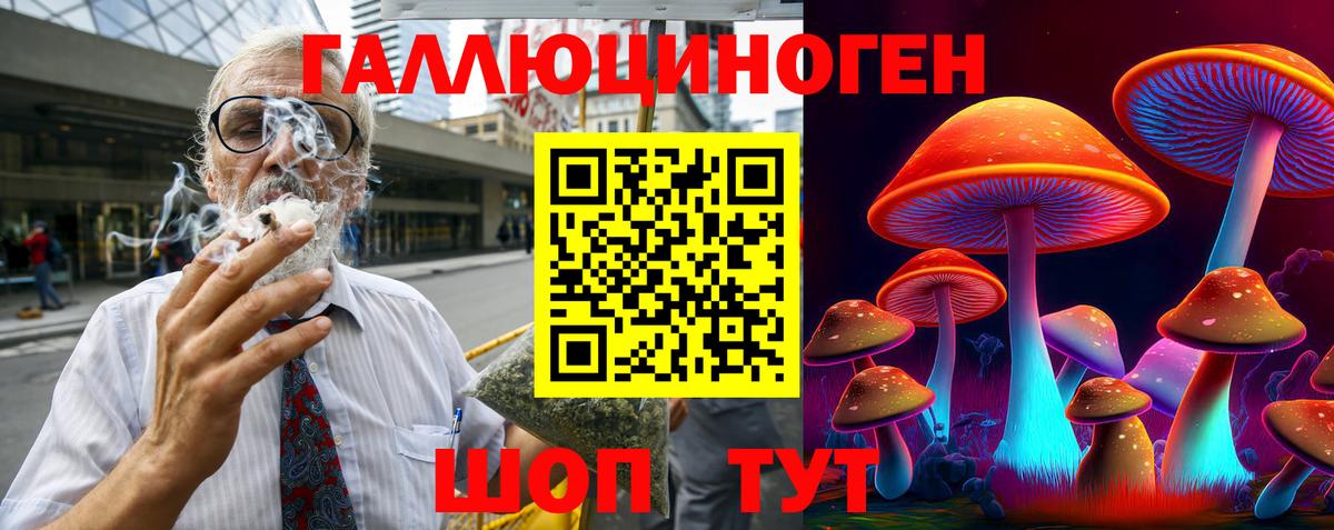 Чебаркуль  Псилоцибиновые грибы Psilocybe  Вход с VPN 