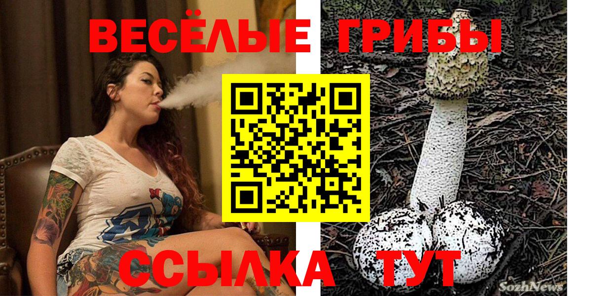 Псилоцибиновые грибы Cubensis Чебаркуль